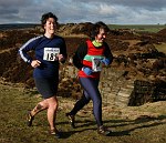 Click for larger picture