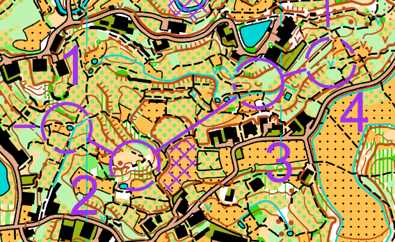 Very unusual middle map